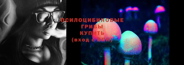 дживик Зеленодольск
