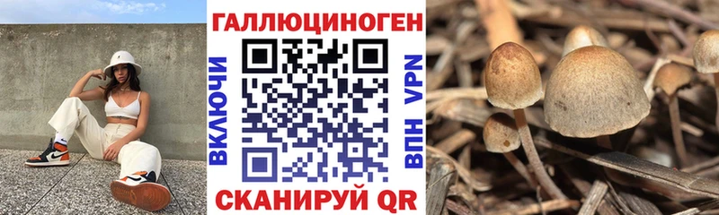 hydra tor  Ивдель  маркетплейс телеграм  Псилоцибиновые грибы Magic Shrooms 